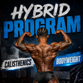 Hybrid Program
